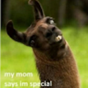 Meet your Posher, Travis